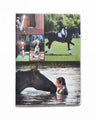 Notebook Spencil A5 Soft Cover Horses