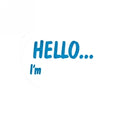 Label Avery Disp 58X43 Hello I'M Dmo5843He