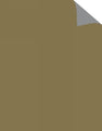 Poster Board Royal Brites 510X640Mm Double Sided Gold/Silver 250Gsm