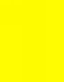 Poster Board Royal Brites 510X640Mm Fluoro Neon 250Gsm Canary