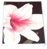 Note Book C/Land A6 Ruled Pvc Jacket Lily Design